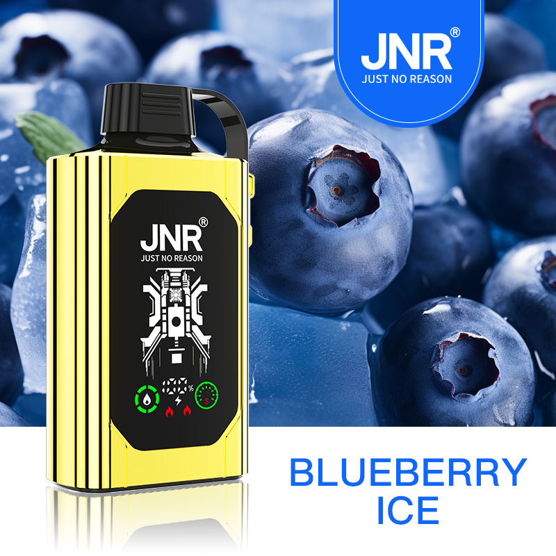 JNR Shisha Hookah Box 30K Disposable Vape-Blueberry Ice - JNR-Vape